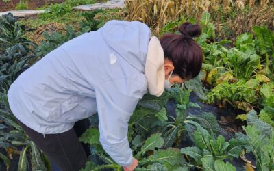 FEEST’s October Meal Kit Recap: Butternut Squash Curry and Community Cooking Night