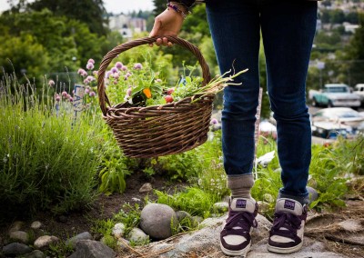 FEEST in the garden with a basket