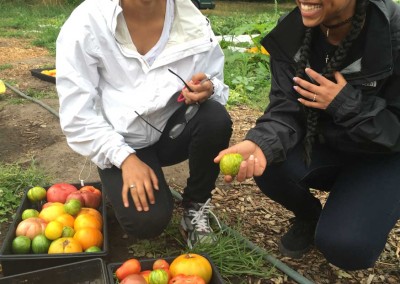 FEEST in the garden with heirloom tomatoes