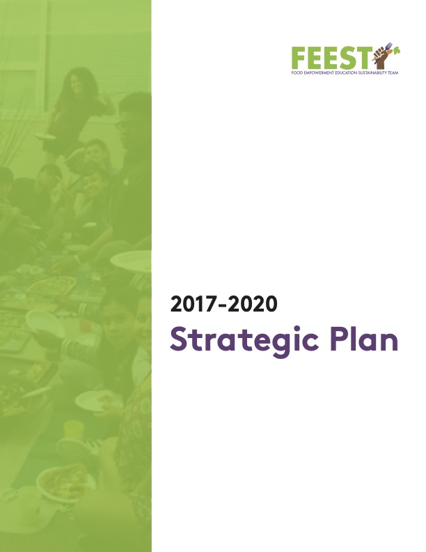 Image is of the 2017-2020 FEEST strategic plan